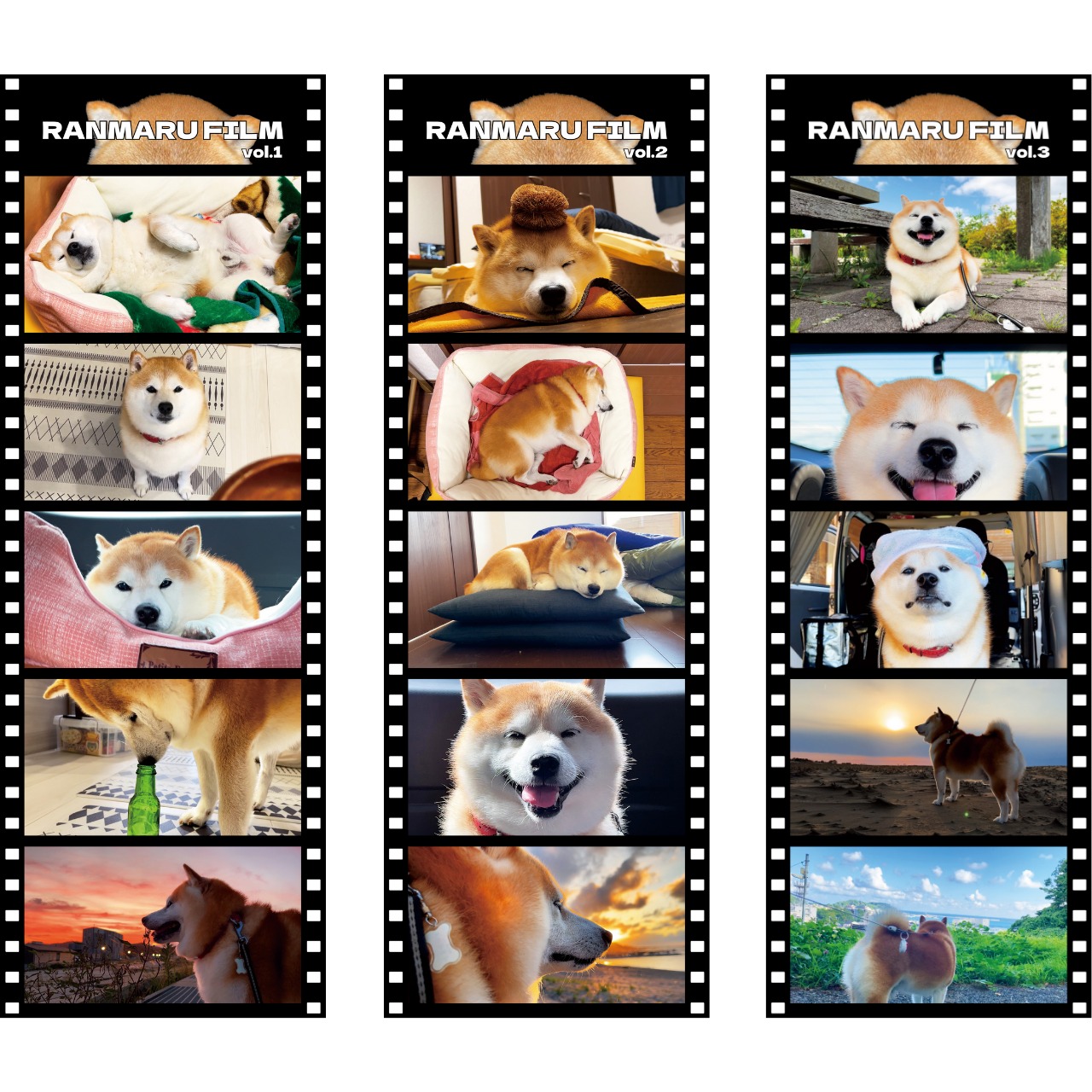 販売済み 赤柴様専用 AQ4つセット 赤柴様専用 AQ4つセット