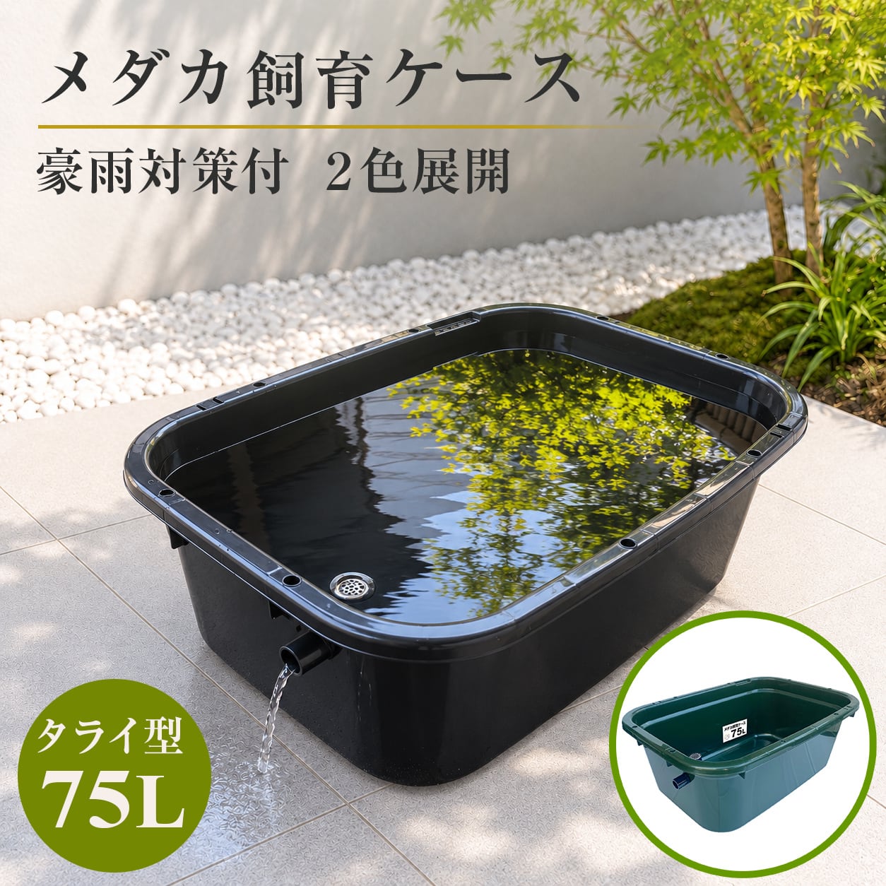 五色アクア BASE店