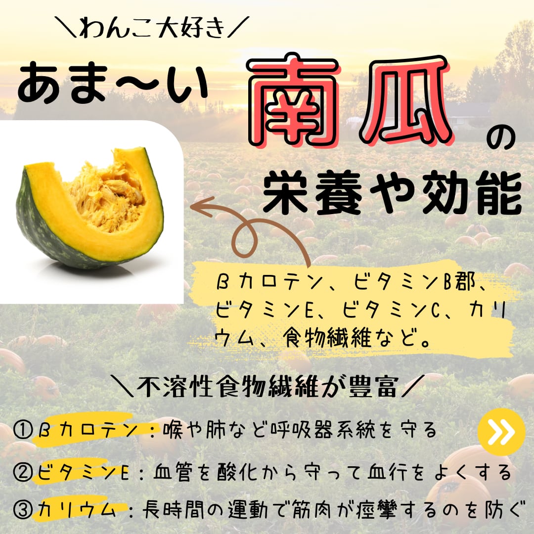 やぎミルク入りおからバーグ 各種お得セット