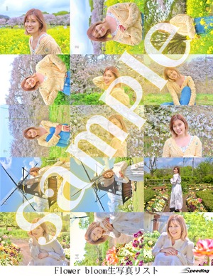 生写真No.23《Flower bloom限定》