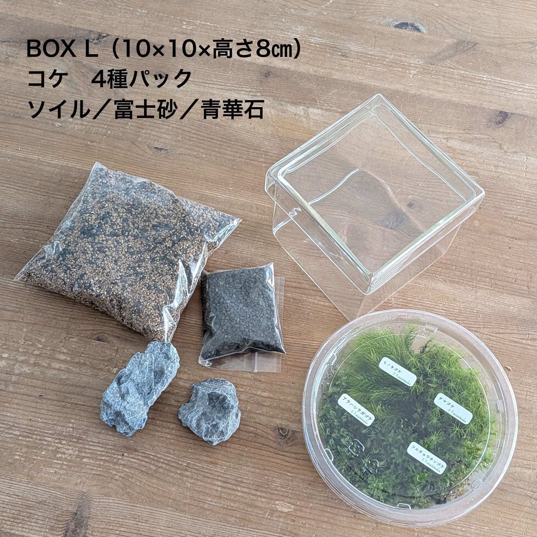 趣味の園芸7月号 掲載記念】景色をつくる苔テラリウムキット（BOX