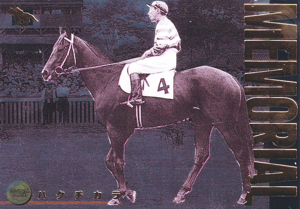 サラブレッドカード96年下半期 | カードショップ うるま屋