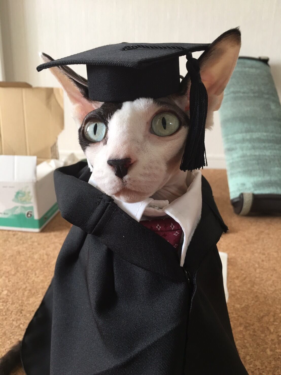 c9fee4480016bcb5e9816a51408d02