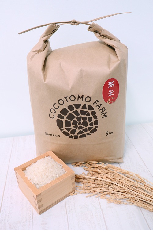【令和7年度産！新米】ココトモファームのお米（あいちのかおり・5kg）｜犬山城主に献上された地で育つ、心をつなぐお米