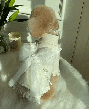 即納【smolbite】Angela top