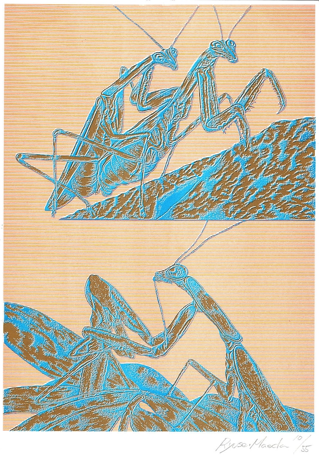 【Risograph | Psoter】Mantis love | Ryusei Maeda