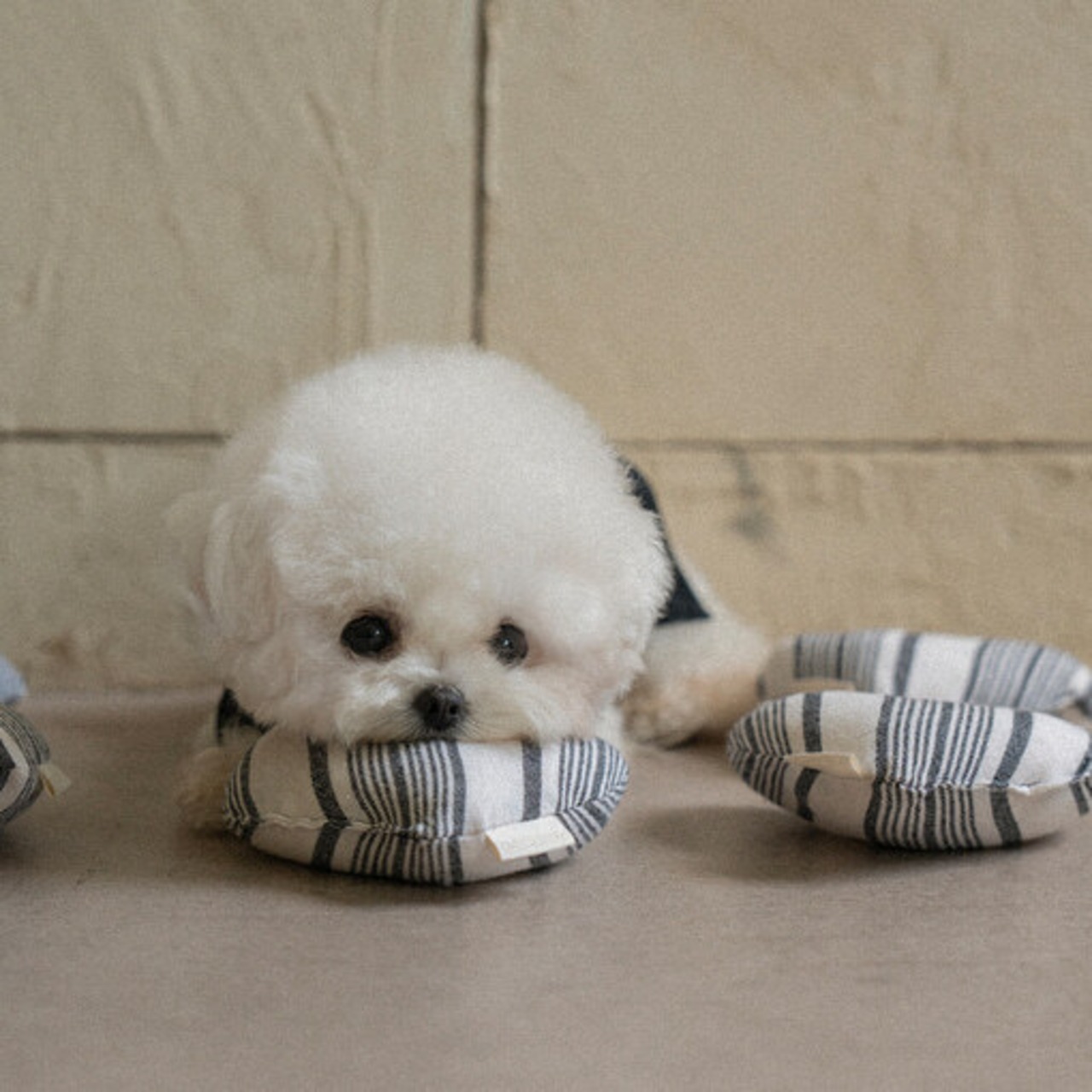 予約 【pecoramou select】Love Love Puppy Toy