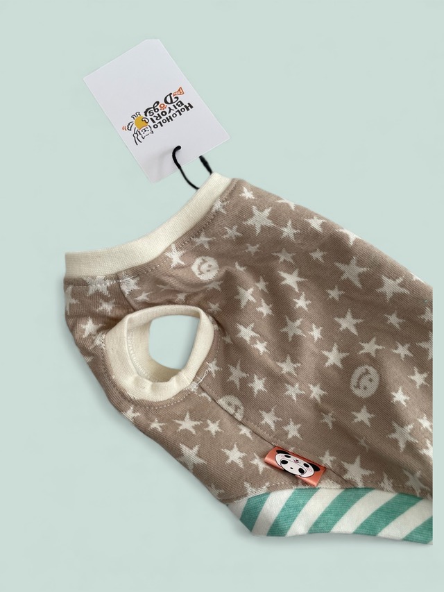 スマイルスター（3号）