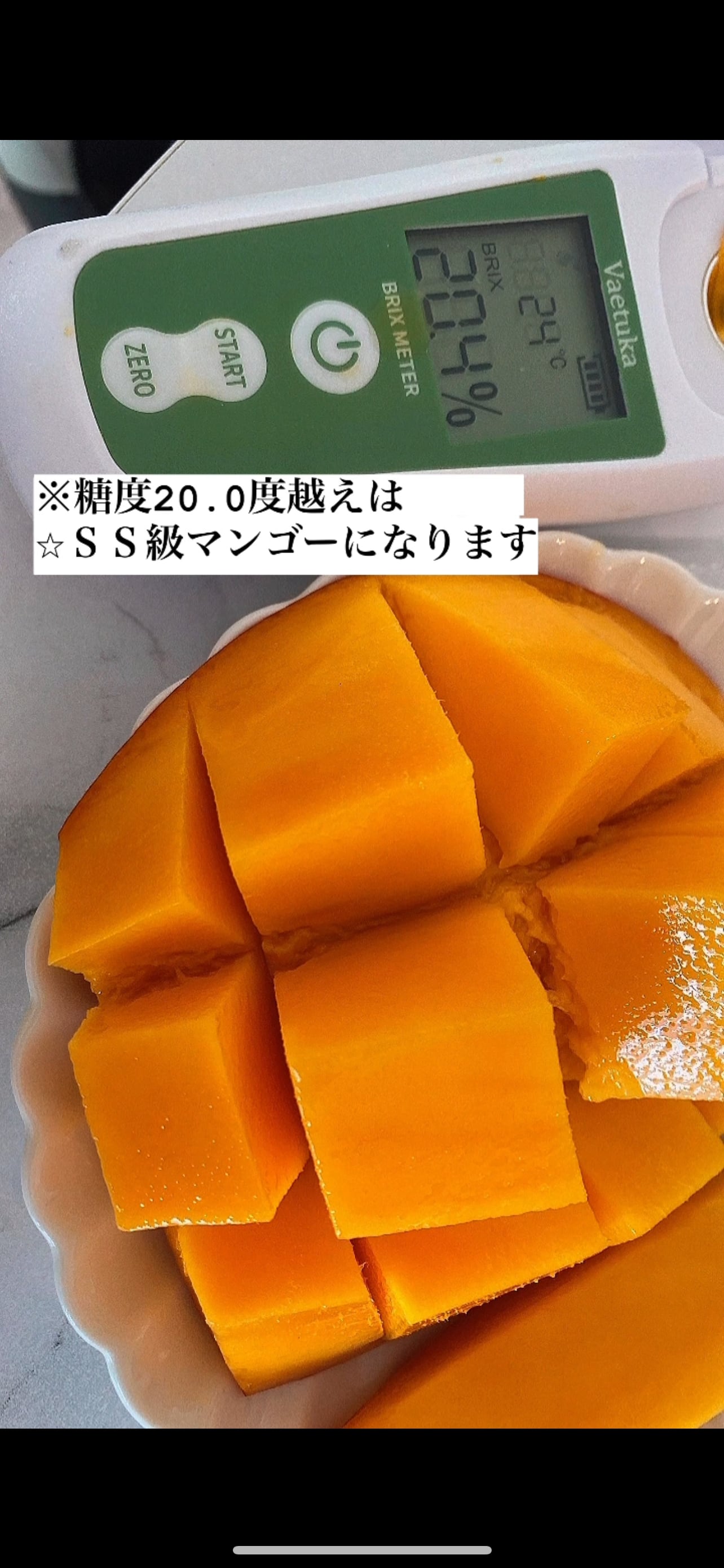 摘果マンゴー 15キロ 青マンゴー（摘果マンゴー）15キロ 30g〜300g