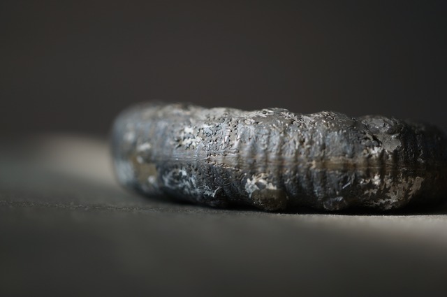 イギリス産黄鉄鉱化アンモナイト  Pyritized Ammonite 2314