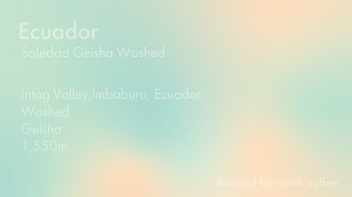 Ecuador Soledad, Geisha - Washed