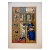 19世紀 魔術的色彩と装飾図版d フランス アンティーク