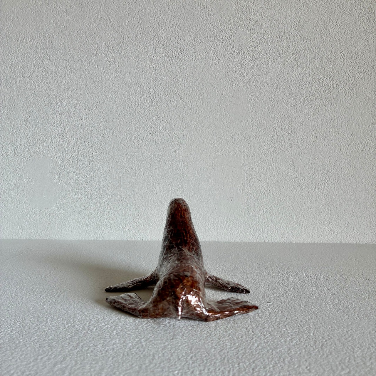 植田 楽さん／#38 ニホンアシカ