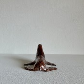 植田 楽さん／#38 ニホンアシカ