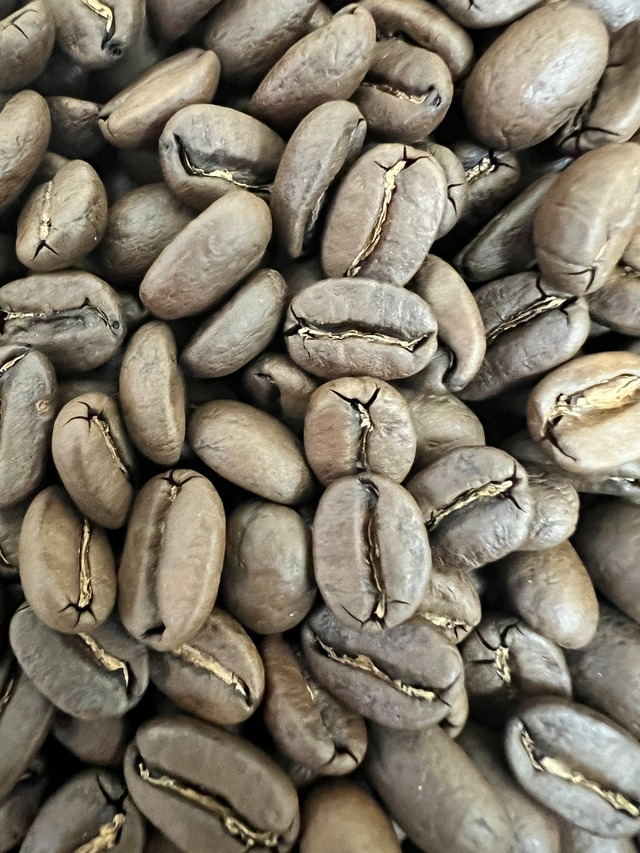 ブラジル モジアナ レーズン 100g