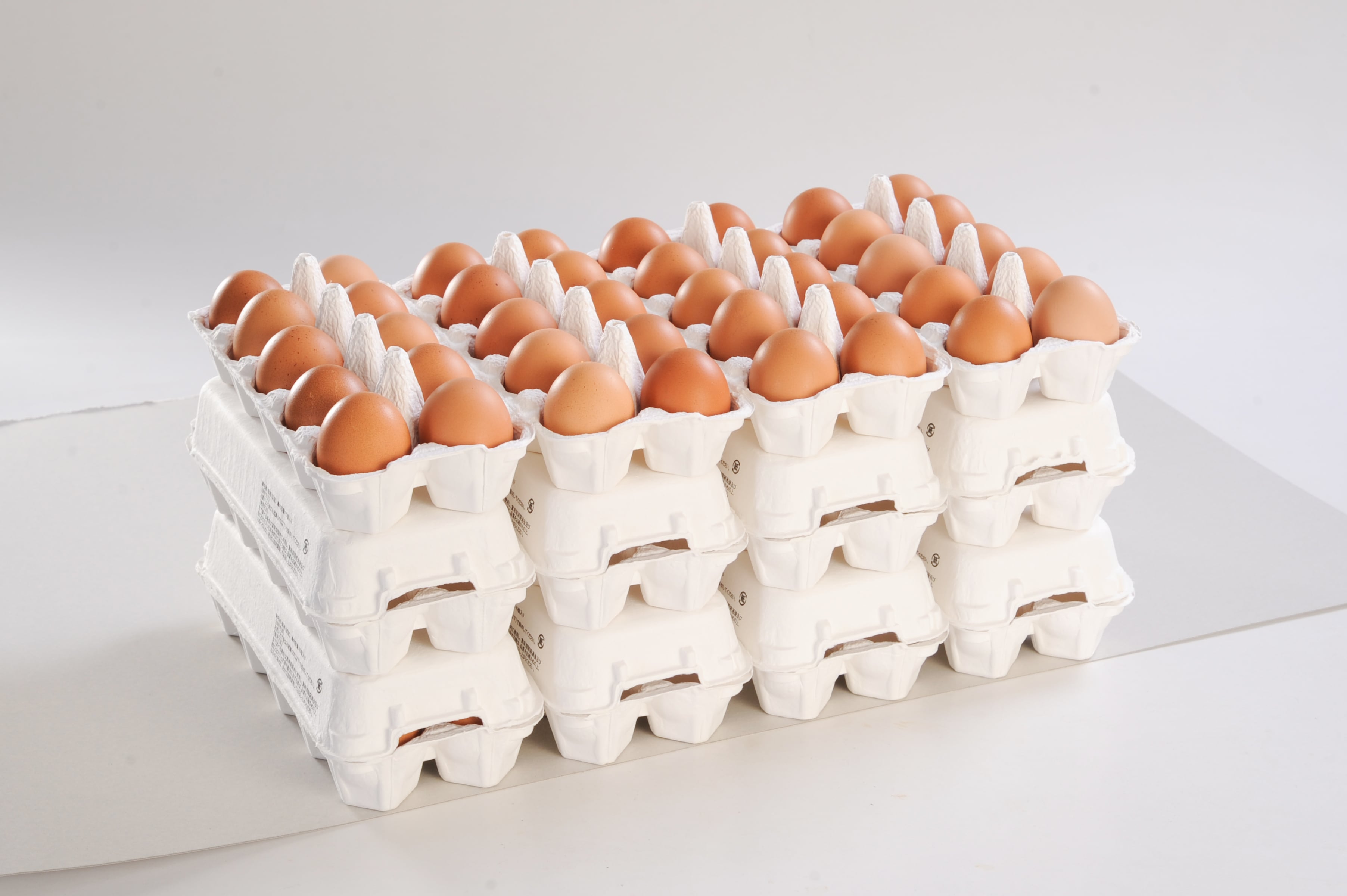 沖縄直送！美ら卵養鶏場のたまご120個 | 美ら卵養鶏場