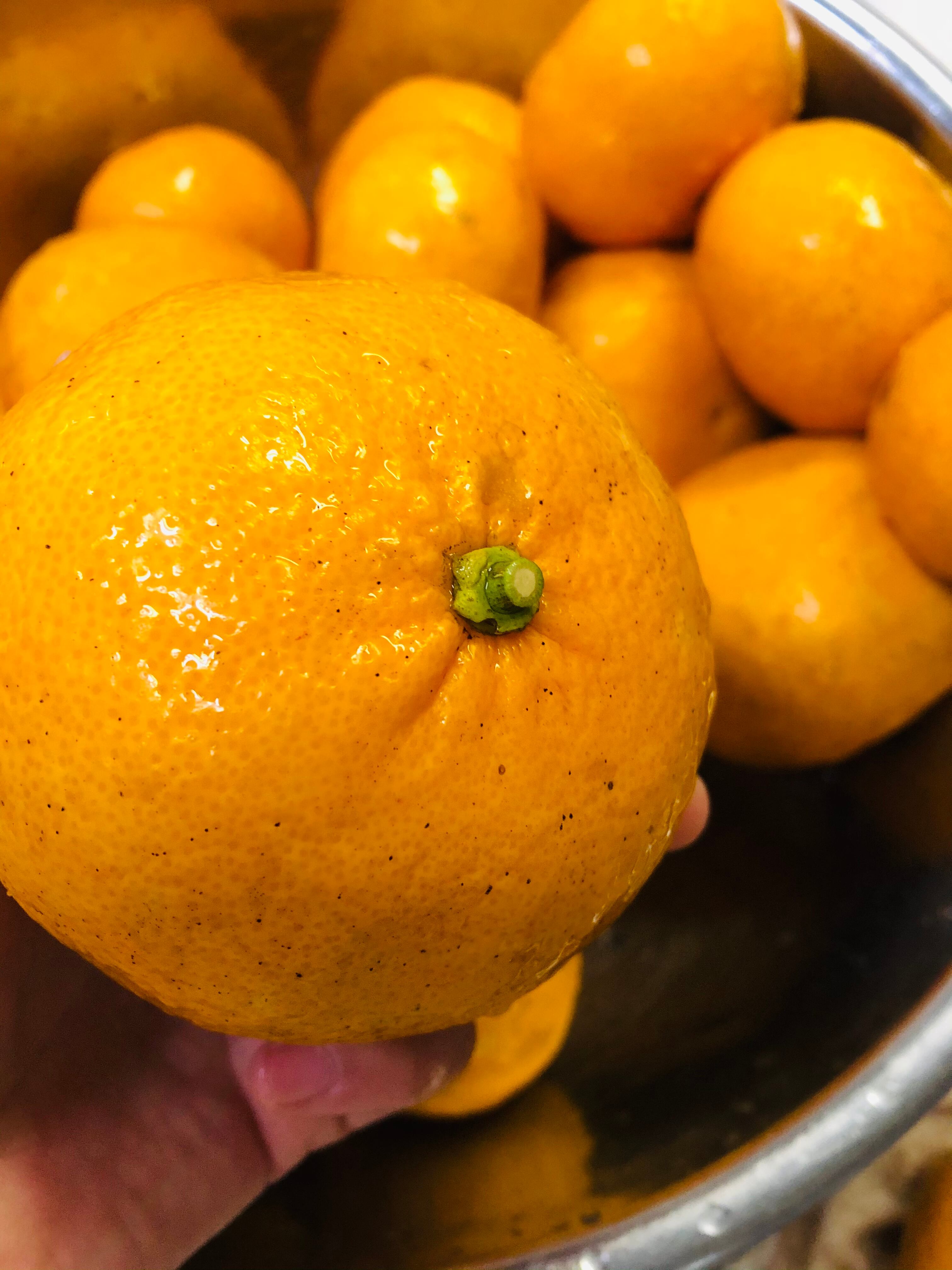 無農薬ネーブルのオランジェット