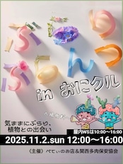 【11月2日イベント凱旋ガチャ】 8種+α セット