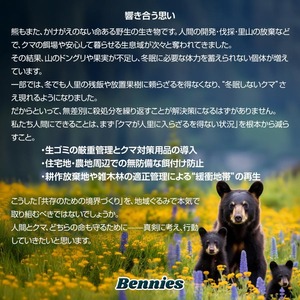 撃退クマ激臭シート2026最新版３０個入 出会ってからの熊撃退スプレー ホイッスル 鈴では遅い！熊よけ 忌避剤 効果は1年間！熊対策グッズ