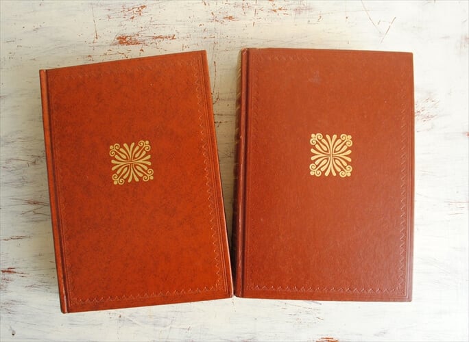 フランス語 洋書3冊セット 古い洋書 ディスプレイ 古書 フランス語 洋書3冊セット 古い洋書 ディスプレイ 古書