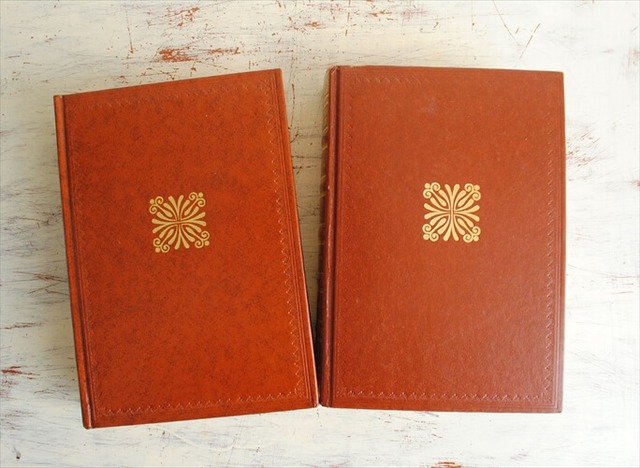 フランス語 洋書3冊セット 古い洋書 ディスプレイ 古書 アンティーク 