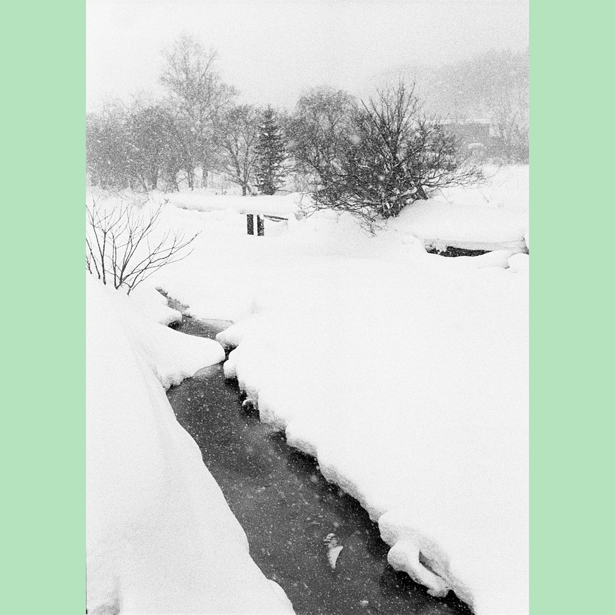 写真データ【星置川】JP012D print8tabby