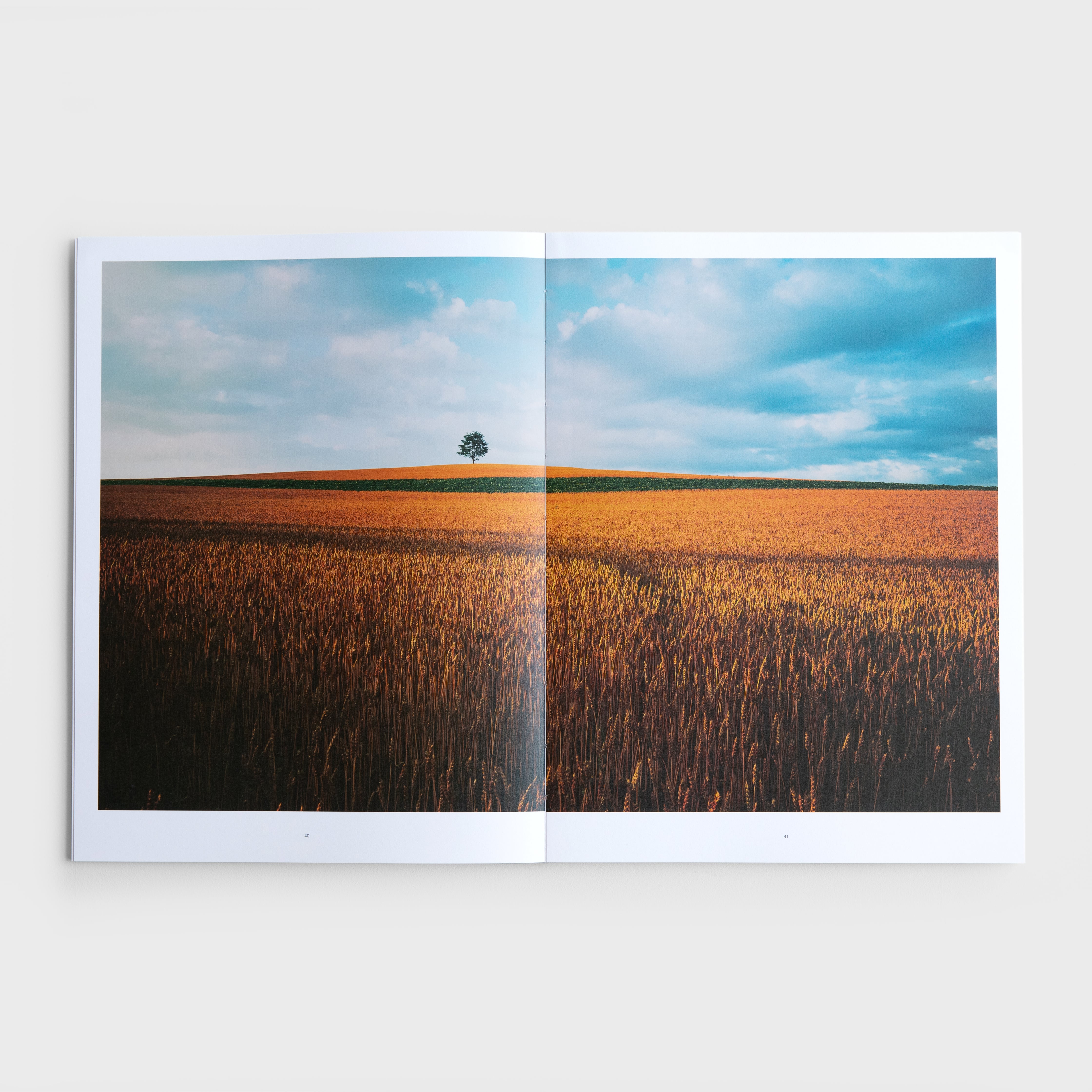 書籍『HILL TO HILL』写真：前田真三 編集・装丁：前田景 | ブルー