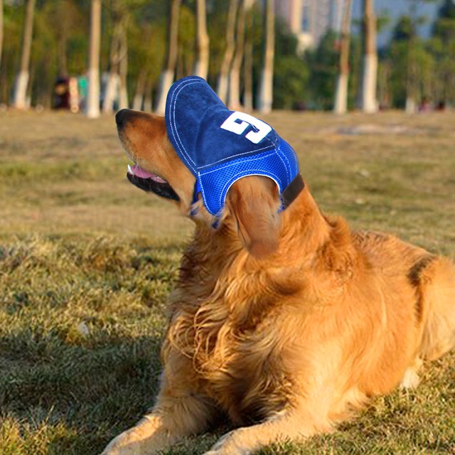 犬の帽子　キャップ　日除け　熱射病　大型犬　中型犬　ゴールデンレトリバー