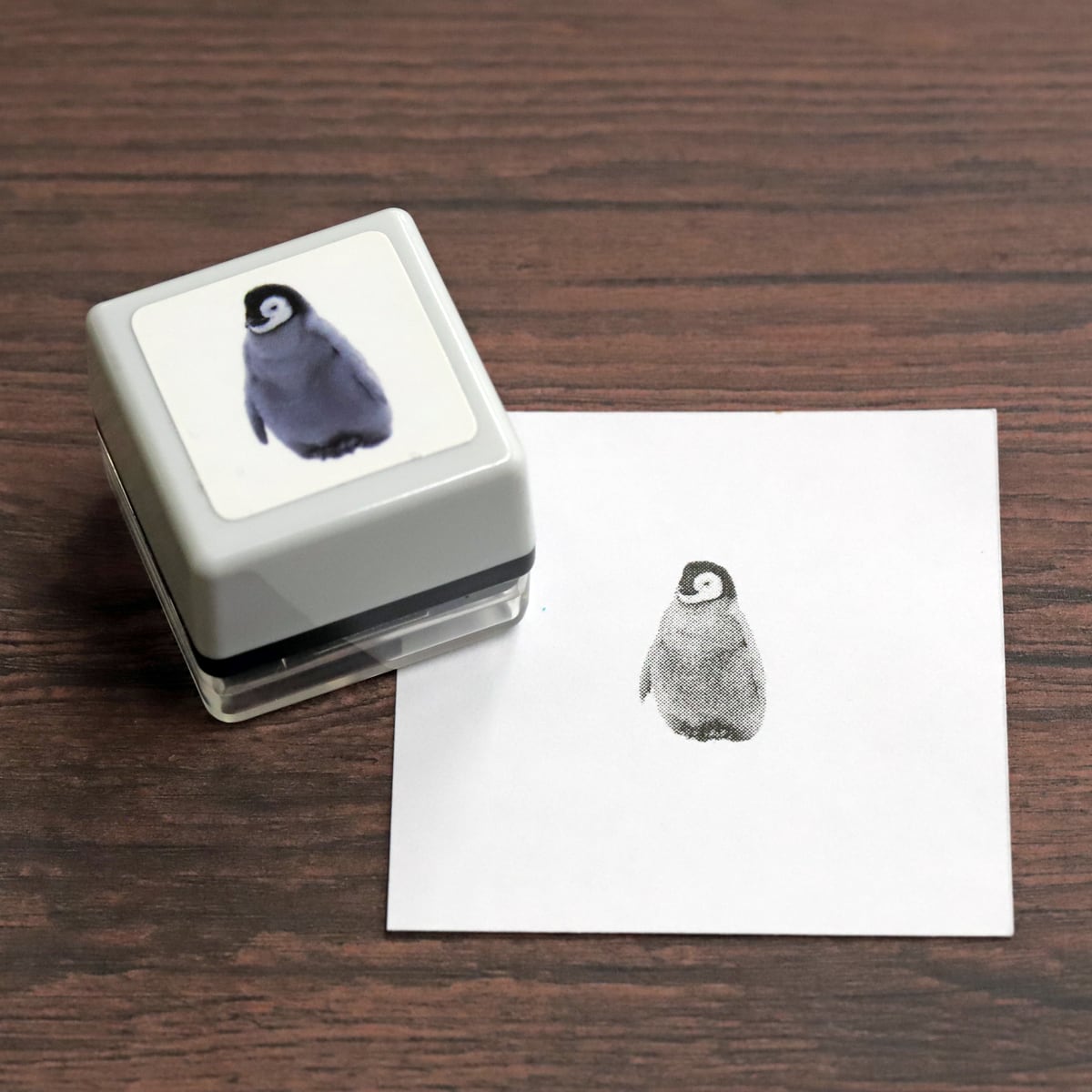 リアルふぉとスタンプ ペンギン(子） RP-041 | 浸透印スタンプ