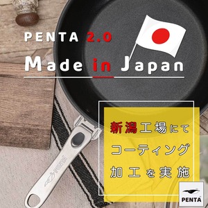 深型フライパン蓋付きセット 28cm アンティックゴールド 王様フライパンPENTA 3.0（ペンタ）