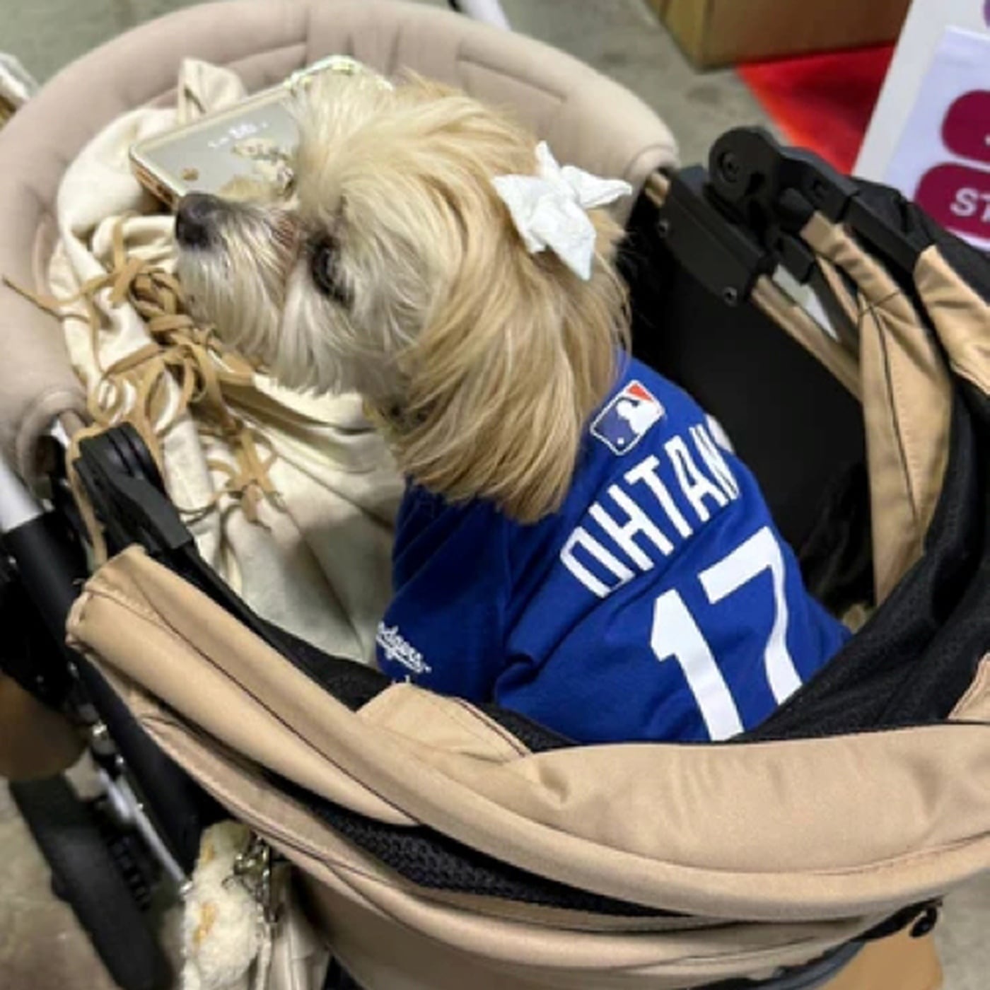 犬用Tシャツ Sサイズ 大谷翔平モデル MLB公式 ドジャース 超小型犬用