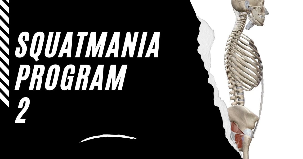 スーパーリフティングプログラム2回分 スクマニプログラム2 中上級者向け(12週間) | squatmania