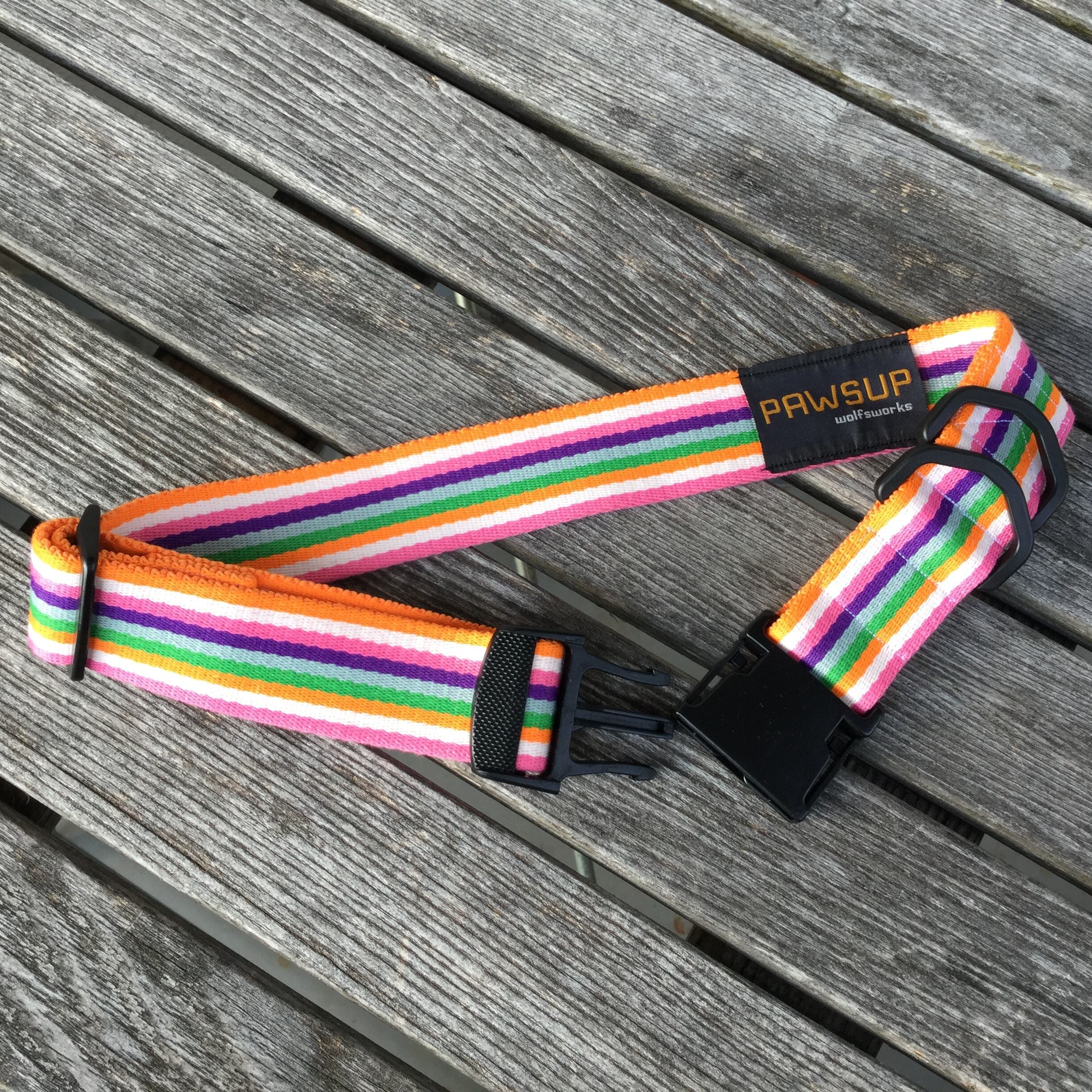 首輪 ピンク・オレンジボーダー