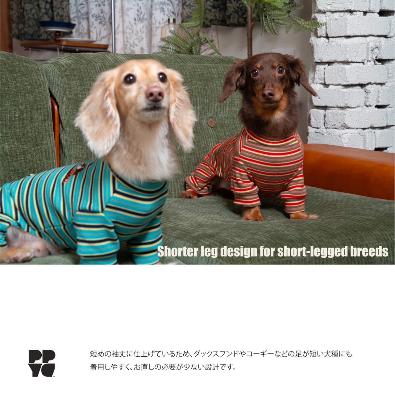 【puppygallery公式】 Homeground all-in-one M-XL