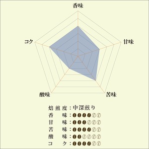 コーヒー豆　中深煎り マンデリンG1 100g