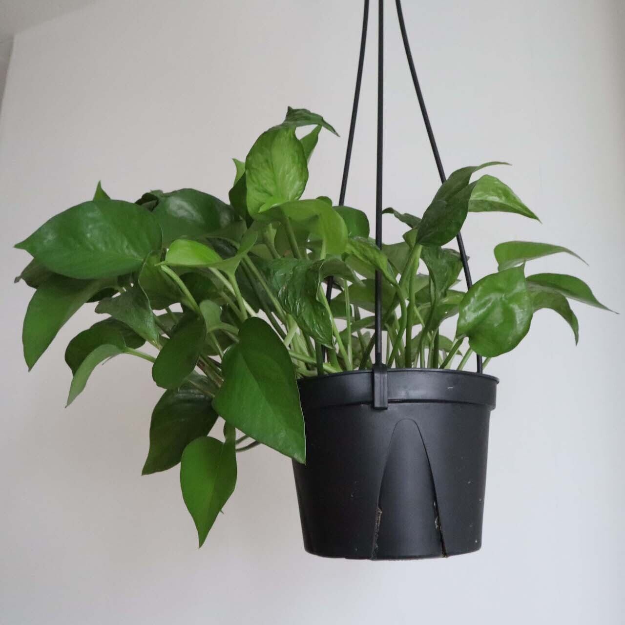 ca30dbec83ff84511aa3a1883b45ab  