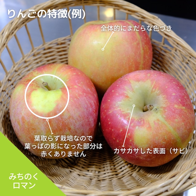 食べ比べを楽しむりんご２種８個セット（みちのくロマン、ピンクレディ）合計約2.4キロ【発送日選択】（クール配送料込）