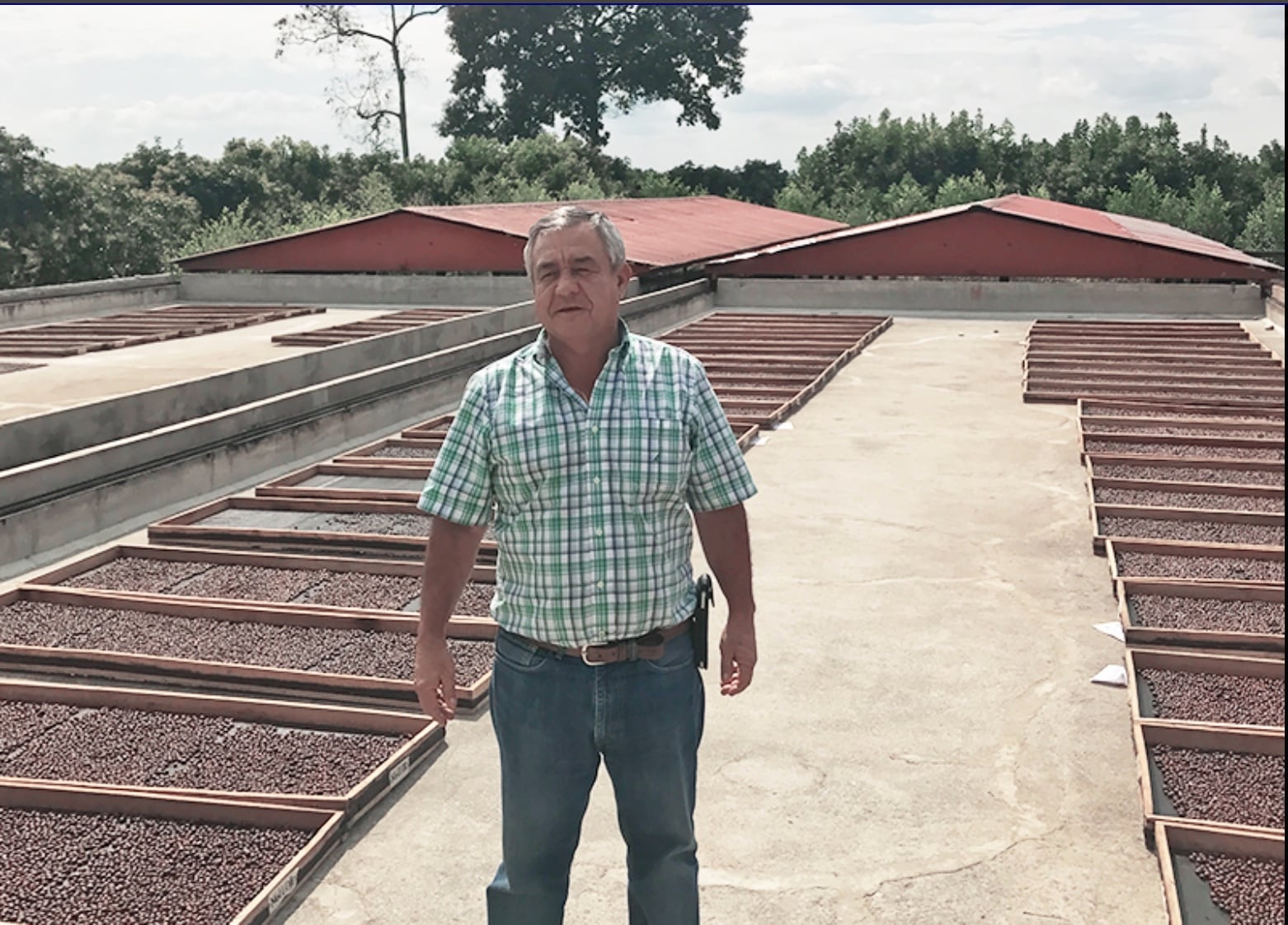 コーヒー生豆】 2kgコロンビア インフュージョン ワイン酵母