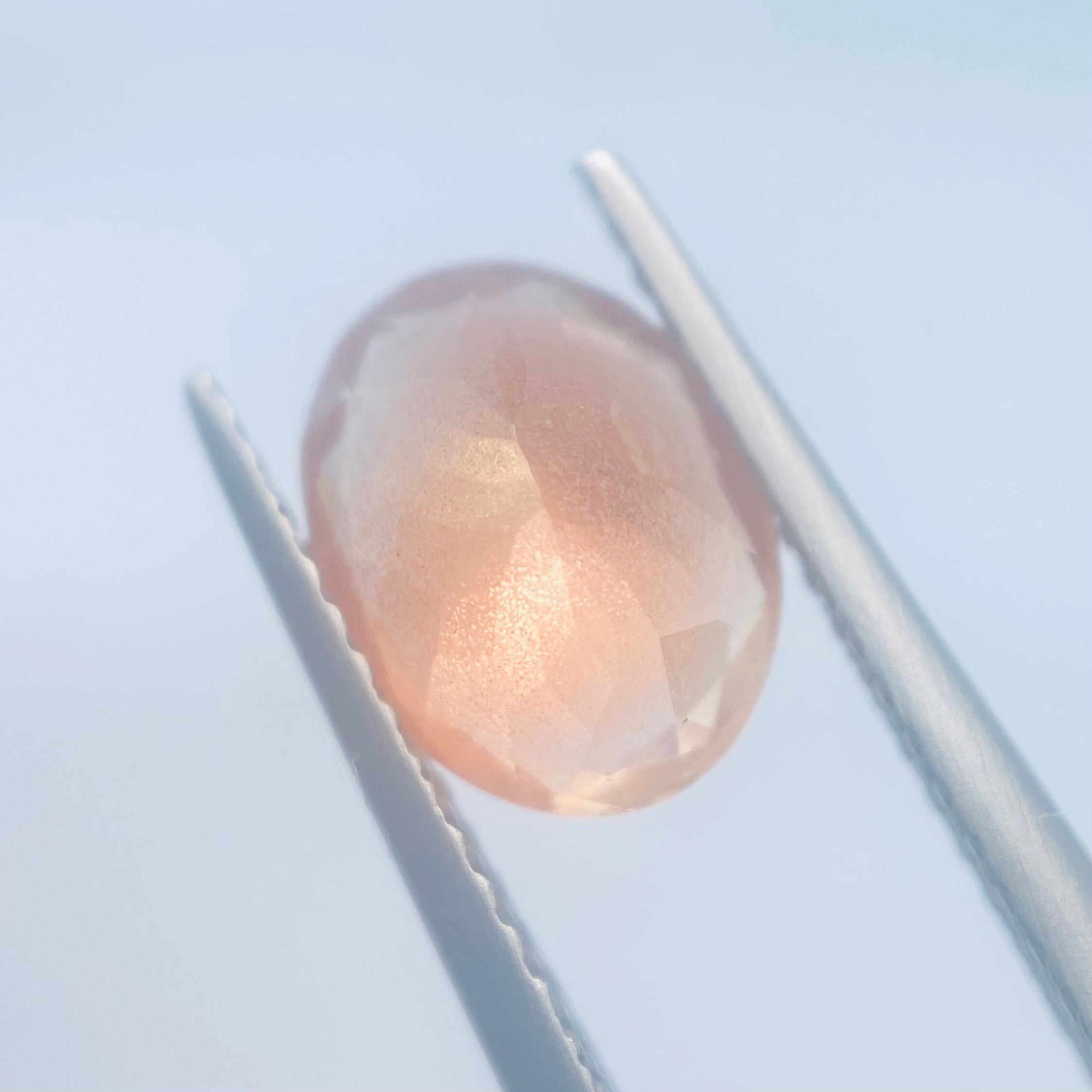 春爛漫　オレゴンサンストーン