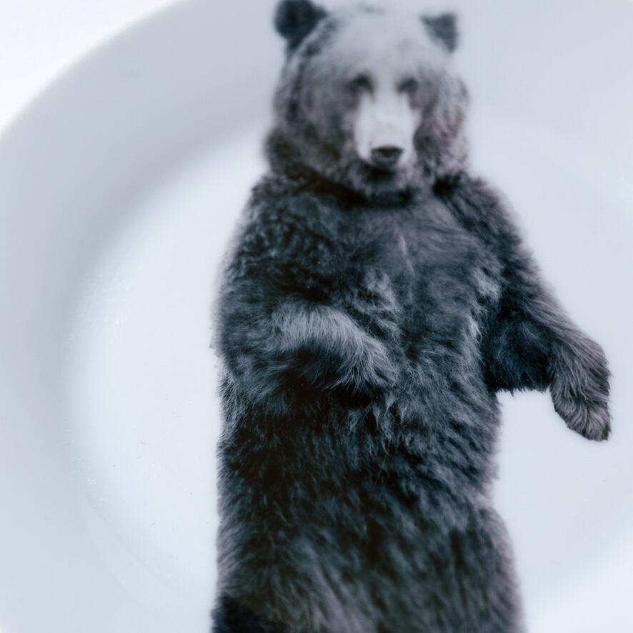 動物たちの飾るお皿 「立ちクマ」 | michirico