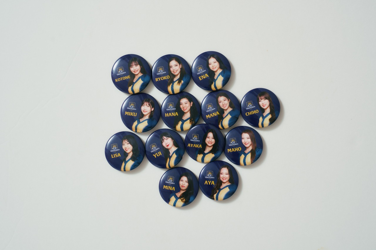 DRCメンバー缶バッジ（全13種・ランダム）