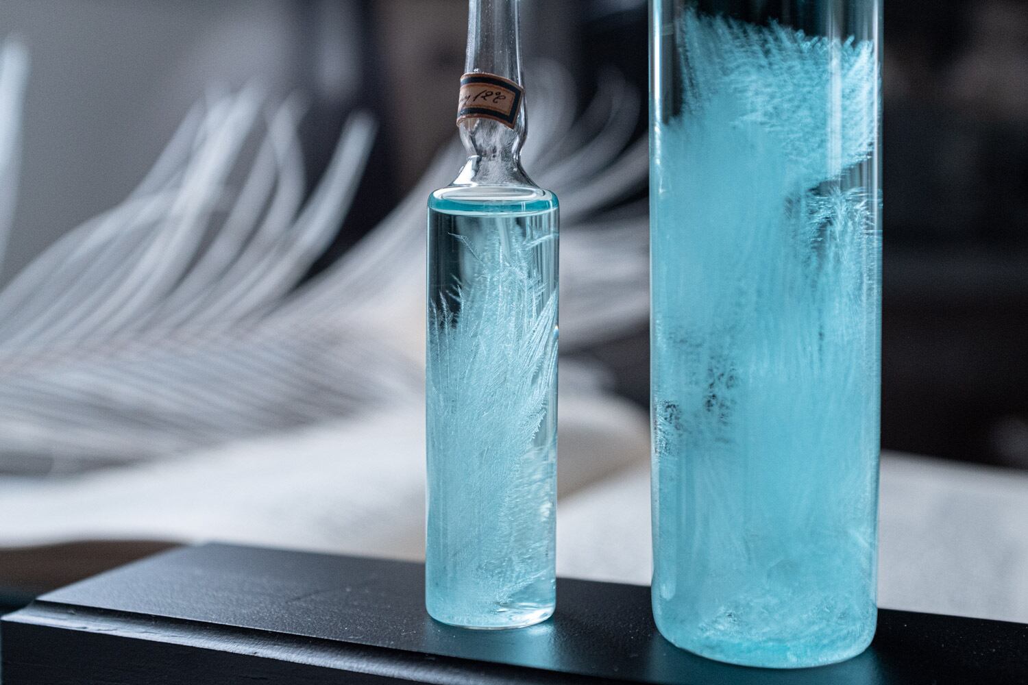 雨の標本- M - ストームグラス | ATELIER de MIOMORI｜アトリエ・ド