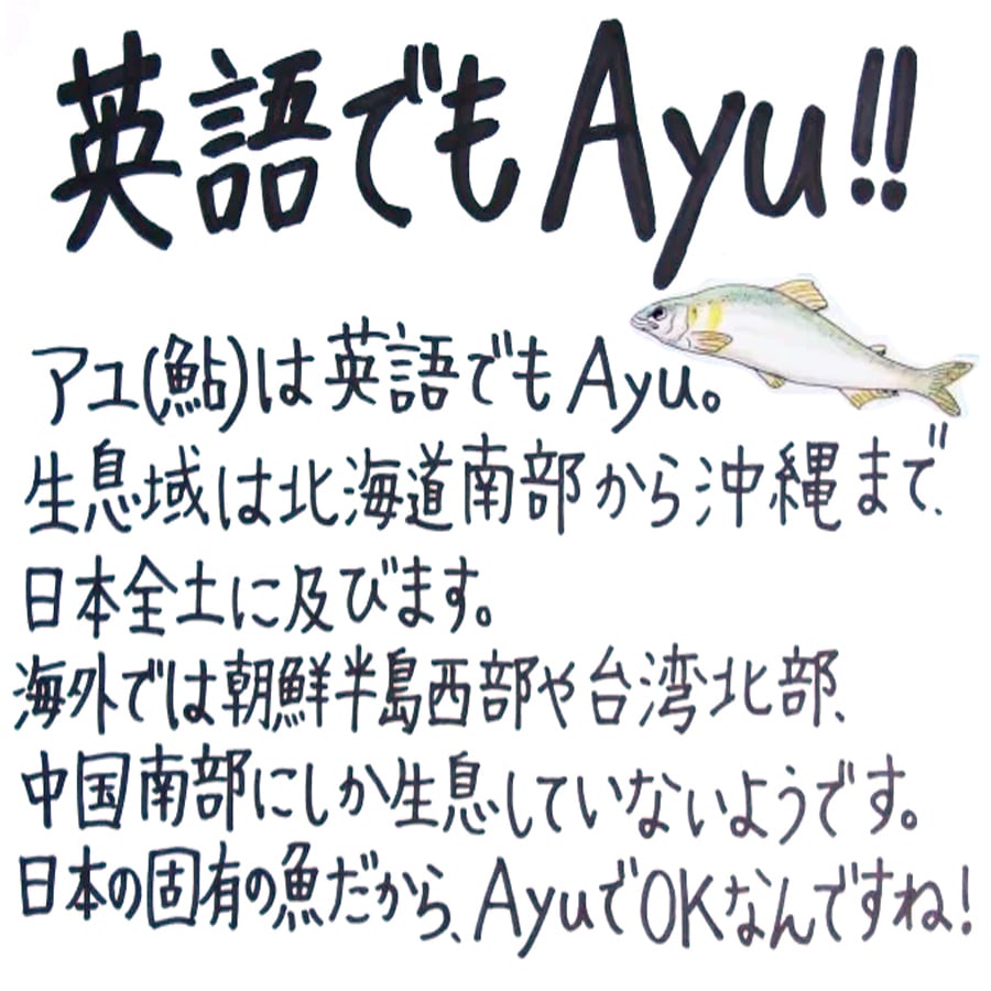 鮎（冷凍・中）5尾セット～しずかのあゆ～ | 山崎水産有限会社