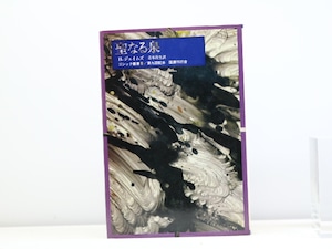 聖なる泉　ゴシック叢書9　/　ヘンリー・ジェイムズ　青木次生訳　[32061]