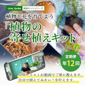 植物と花を育てるキットの定期便　毎月お届け「植物の寄せ植えキット」　動画レシピ付き