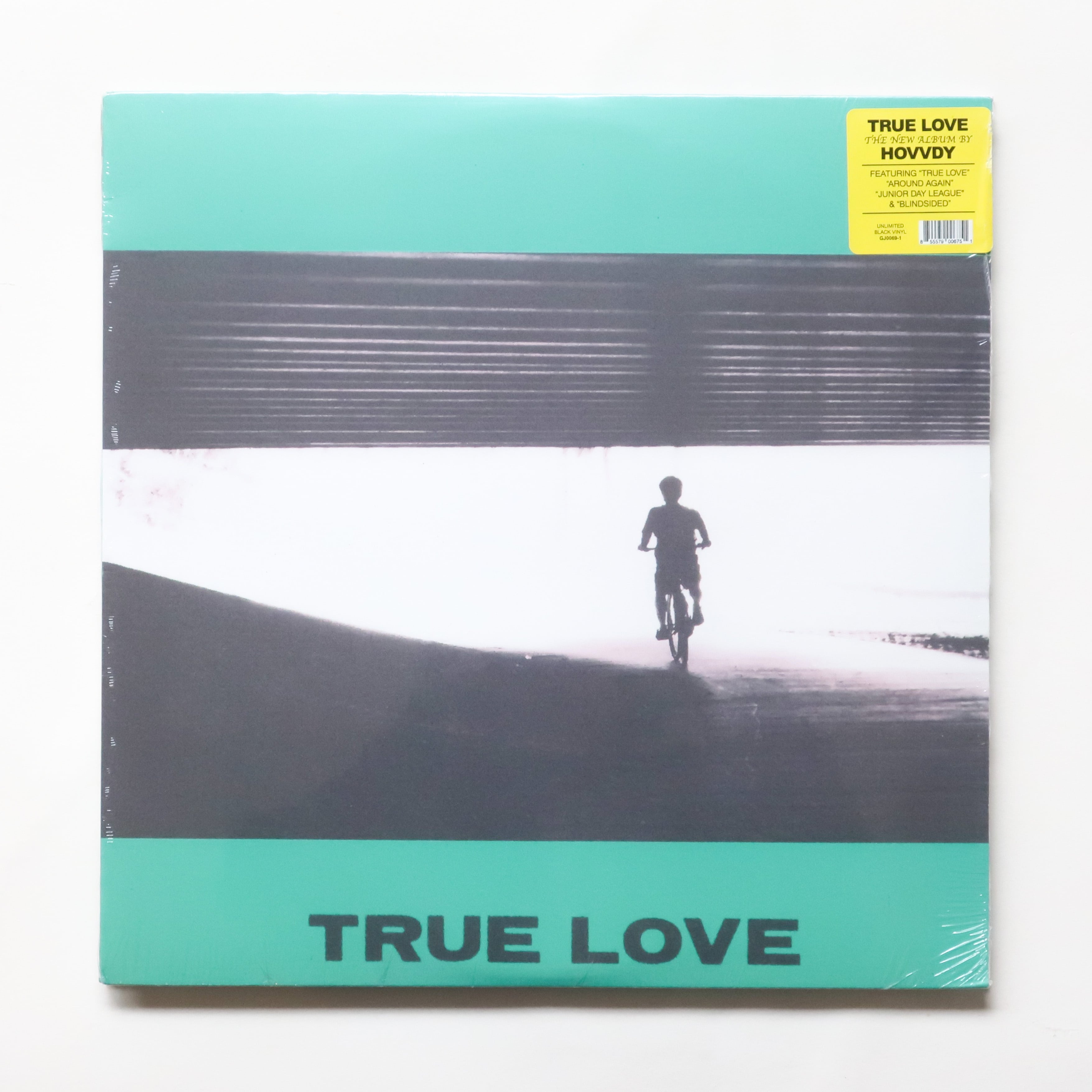 LP（レコード） | 本と音楽の店 つぐみ