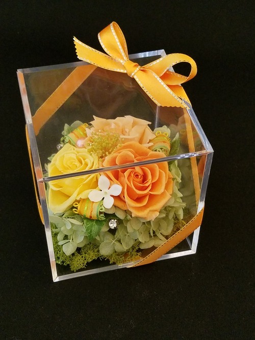 Acryl Box (Orange)