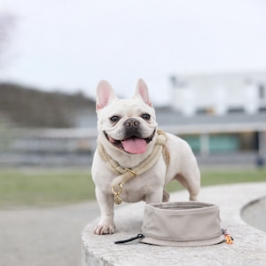 おでかけ用ドッグボウル / Dog Bowl To Go | PALOPA Japan(パロパ)