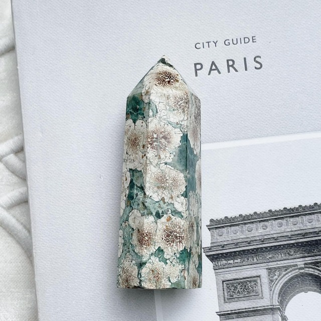 Green Flower Jasper Point 6