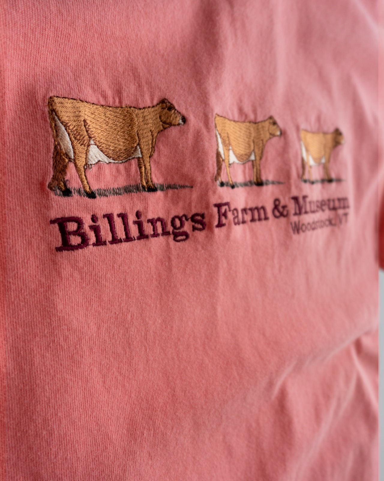 【古着】"Billings Farm & Museum" ジャージー牛3頭　刺繍 Tシャツ - 8